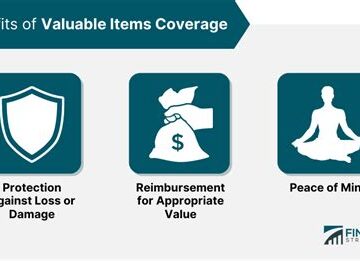 What is Valuable Items Insurance?